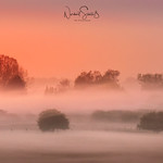 The foggy dunes of Wissel during sunrise.