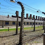 Auschwitz 21 giugno 2017 -3- (g81 v107)