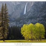 Waterfall and Trees, Spring Evening