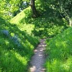 Pickering Castle (19-05-18) North Yorkshire , England , UK