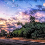 The Lion Sleeps Tonight