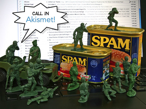 Call in Akismet!