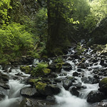 Starvation Creek Falls, May 2018