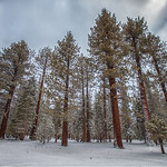 Hartley Springs Campground