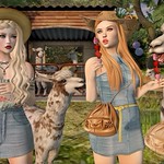 I'll Packa the Snacks