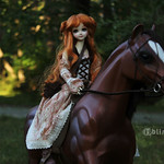 Candy and Horse III