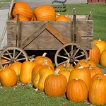 Pumpkin Wagon Ride