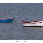 Fondeadas en la Bah&iacute;a