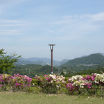 View in Yamanashi（山梨の風景）