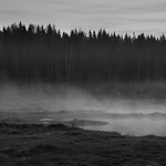 Misty before the sunrise (B&W)