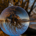 The world is upside down