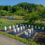 Secondary use of fertilizer bag.