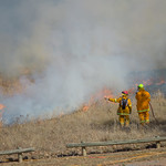 Controlled burn of grasslands - 2 - Barton - ACT - Australia - 20180428 @ 10:50