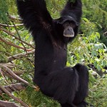 Stretching my arms !