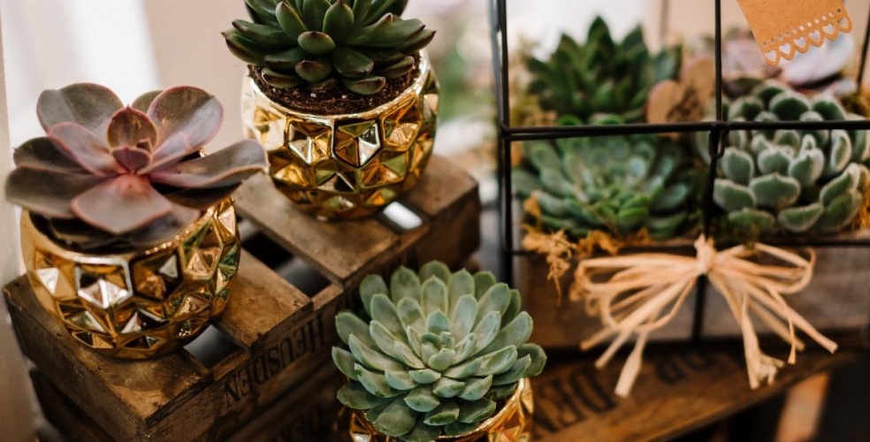 Blooms Florist In Bolton Flowers, Bouquets, Gifts & More Blooms in