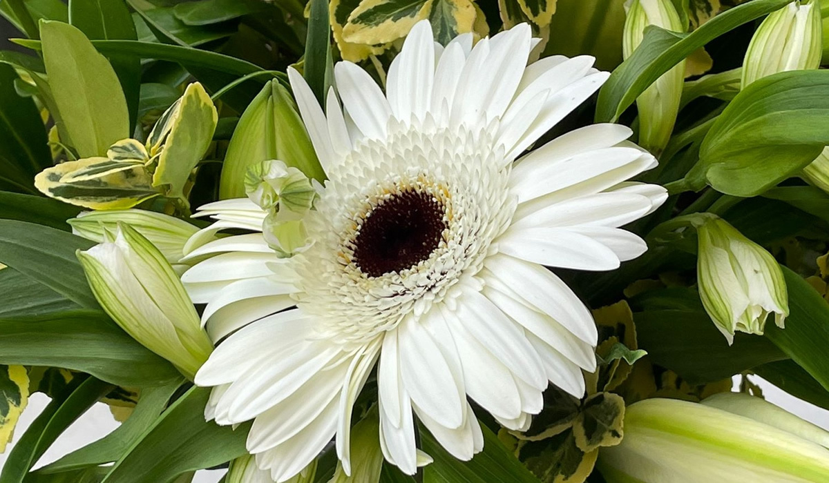 A Florist in Stalybridge Ashton Mossley Ocean Song Flowers and Gifts