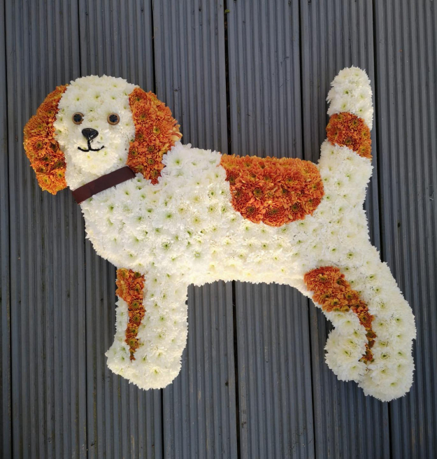 A Florist in Stewarton Kilmarnock Irvine Bizzie Lizzies flowers