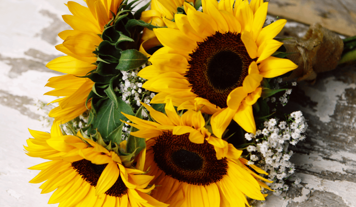 A Florist in Lancaster Garstang Simply Flowers by Nicola SameDay