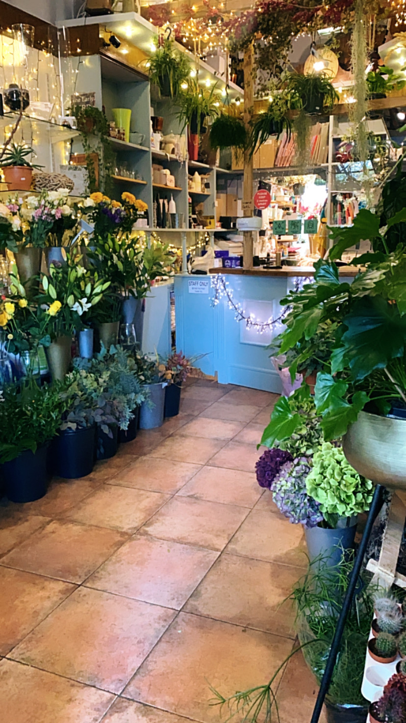 Contact Wildthings Florist Glasgow