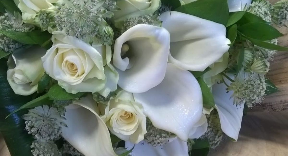 All Seasons Flowers & Gifts Ryde, Isle of Wight Buds and Blooms