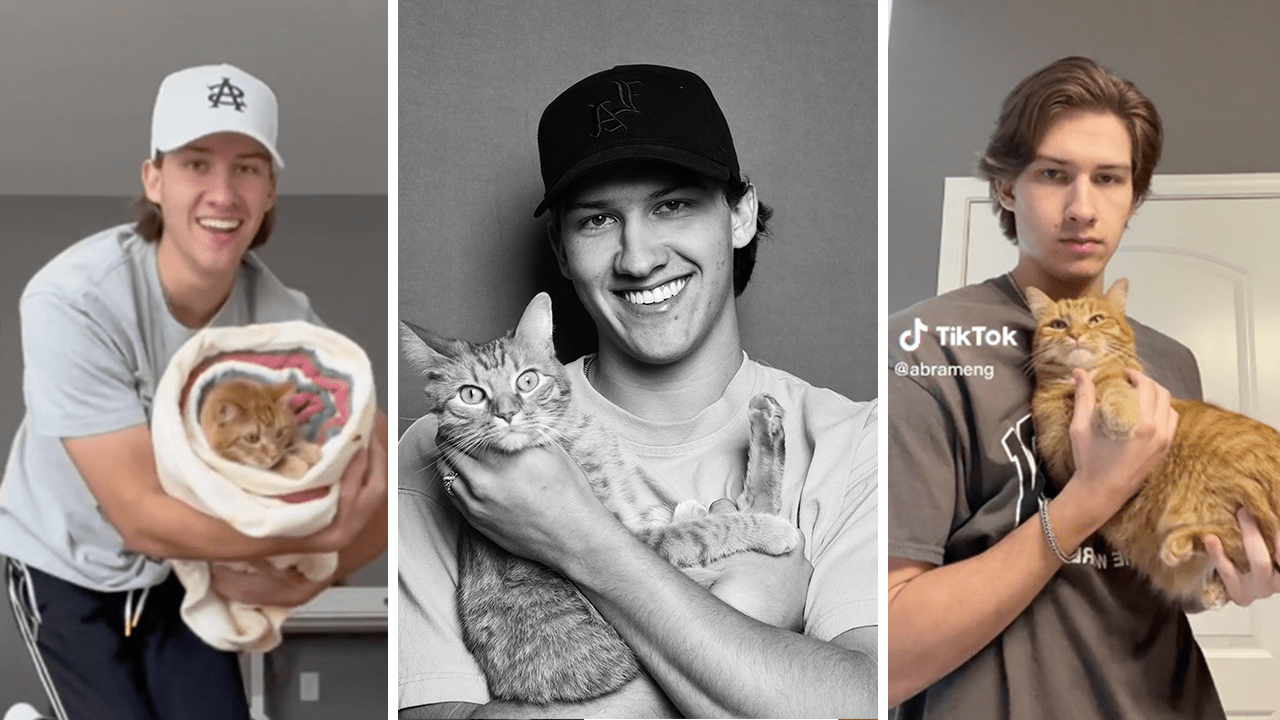 TikTok star Kurt the cat sparks fame for owner Abram Engle