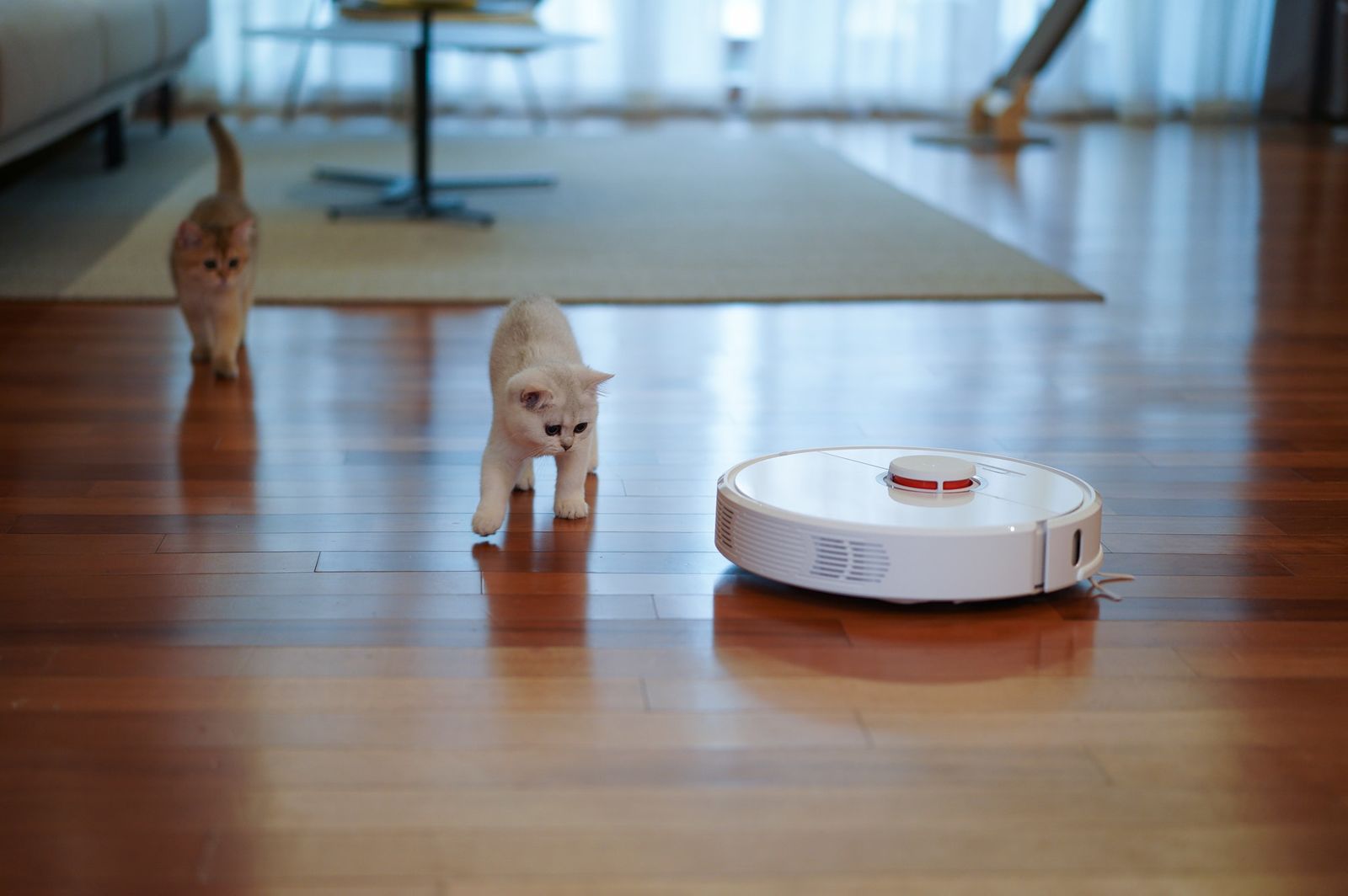 iRobot Black Friday Deals 2022