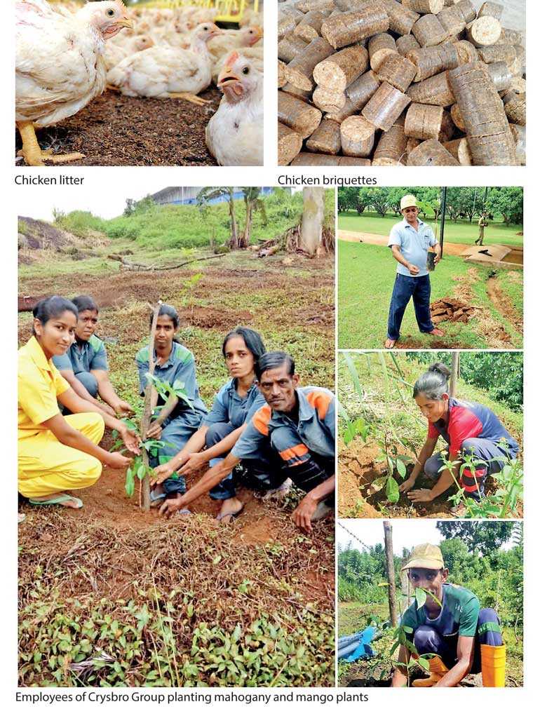 Crysbro to launch Sri Lanka’s first alternative energy system fuelled