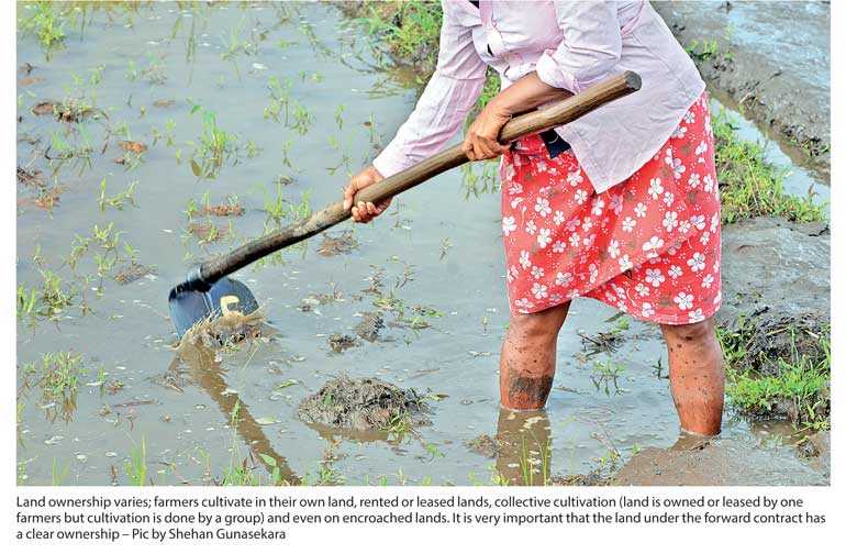 Executing a successful forward contract Lessons from practical