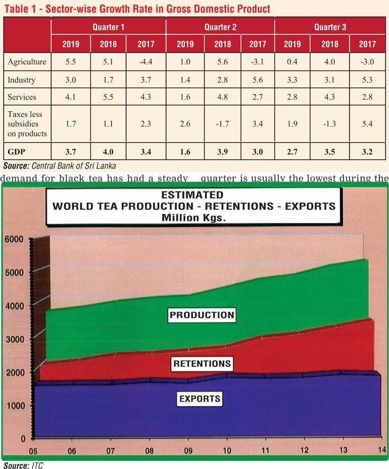 Tea industry’s performance in 2019 and prospects for 2020 Daily FT