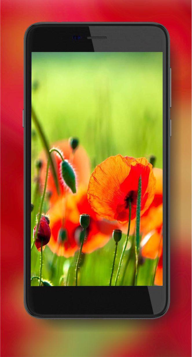 Download Summer Day Flowers android on PC