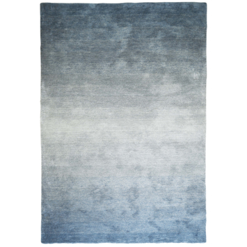 Gamma | Holger Vloerkleed Blauw/Groen 15 Mm 160X230 Cm Kopen? | Vloerkleden