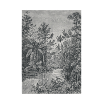 Gamma | Fotobehang Jungle Zwart - Wit (105411) Kopen? | Natuur -Bloemen-Behang