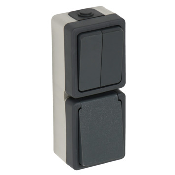 Gamma | Plieger Opbouw Combinatie Stopcontact/Serie Schakelaar Spatwaterdicht Kopen? | Buitenkabels-Elektra