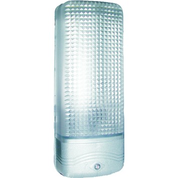 Gamma | Gamma Buitenlamp Bielefeld Zilver Met Dag/Nacht Sensor Kopen? | Alle-Buitenlampen