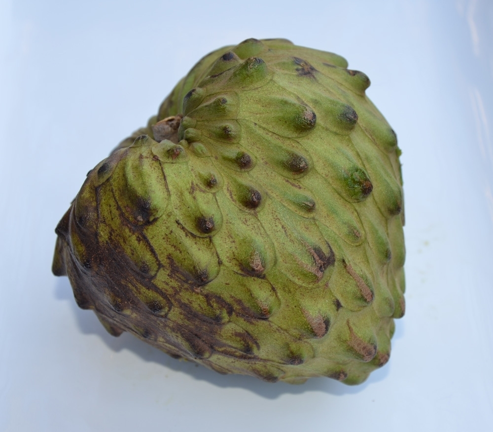 Anona Annona cherimola Frutti Tropicali