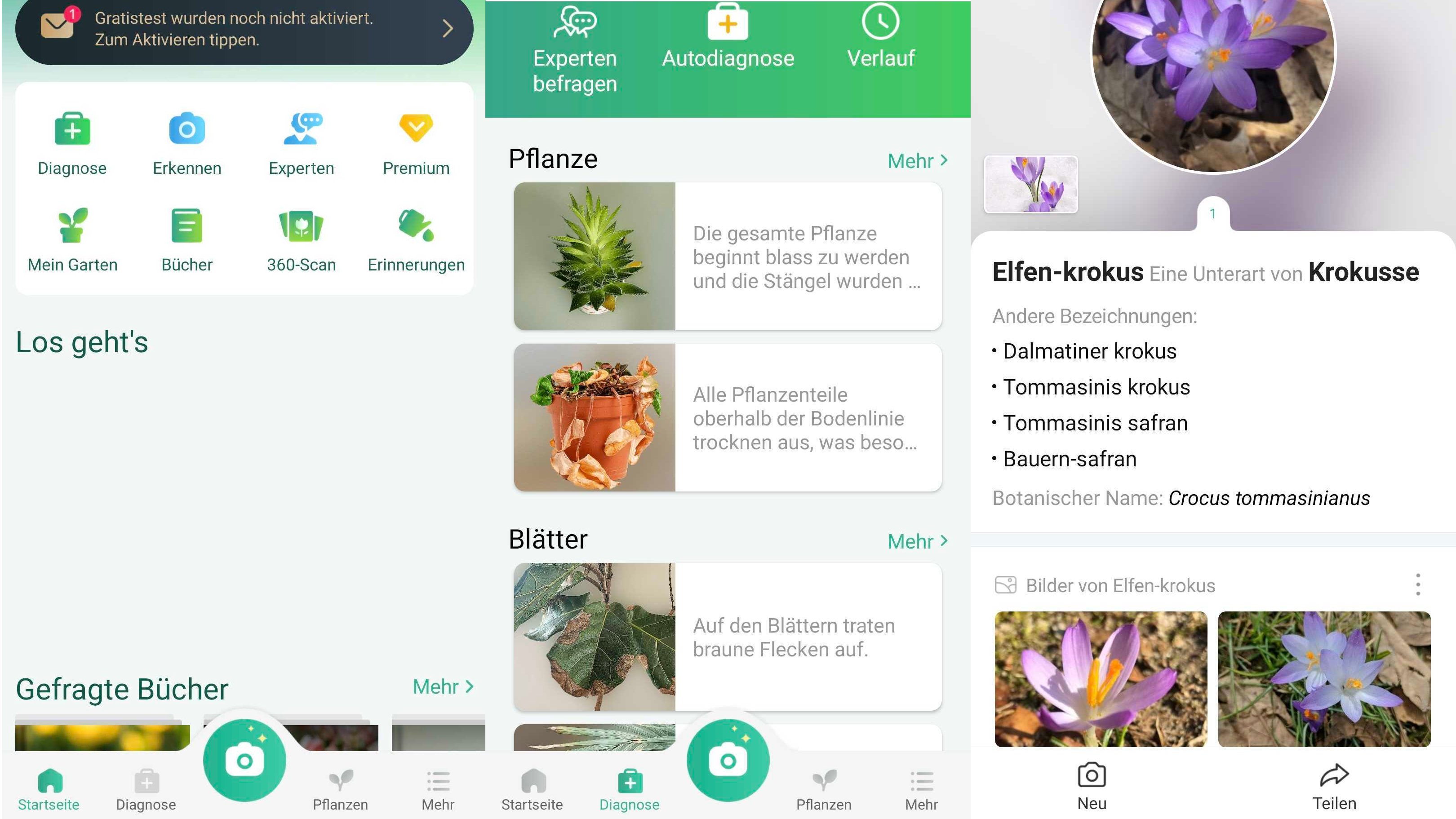 PictureThis Pflanzen bestimmen App für Android & iOS