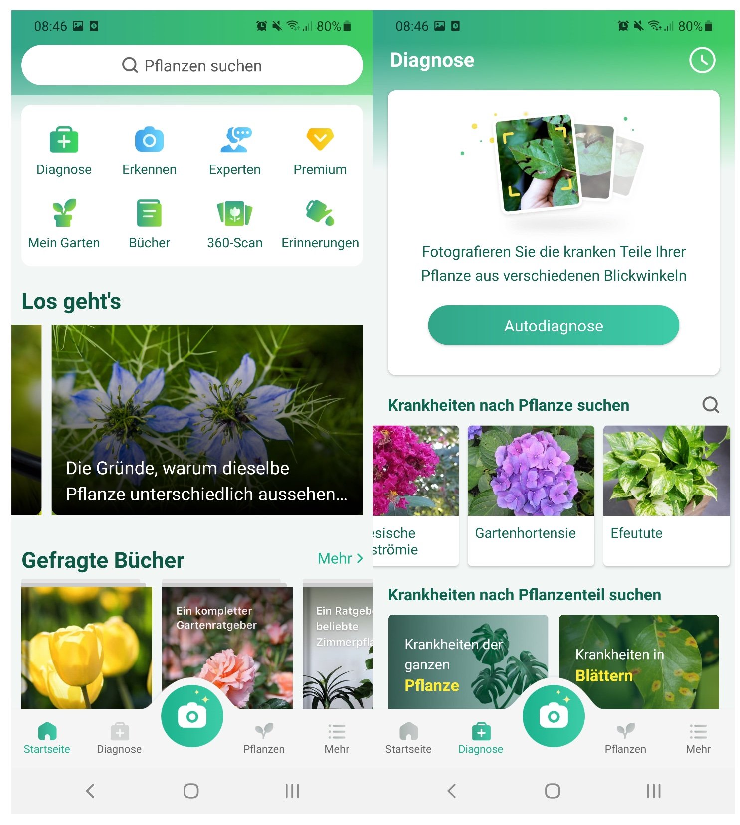 WhatsApp geschlagen Was ist das Geheimnis dieser AndroidApp?