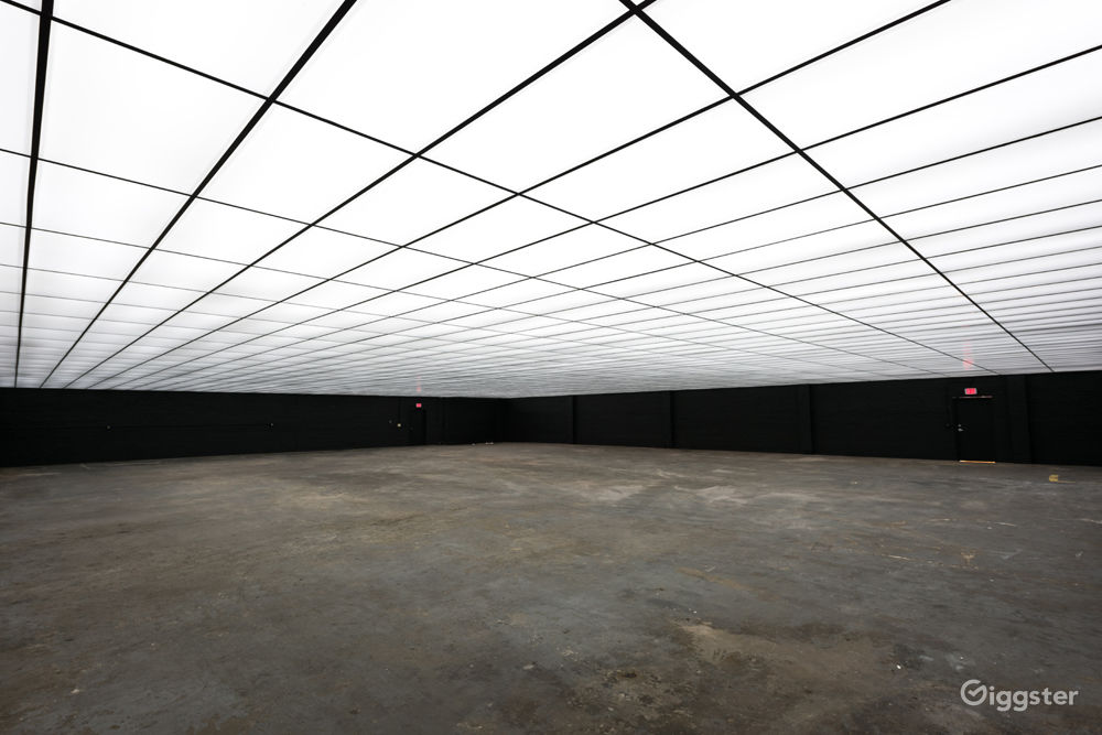 Drop Ceiling Opaque Ceiling Tiles HomeImprovement