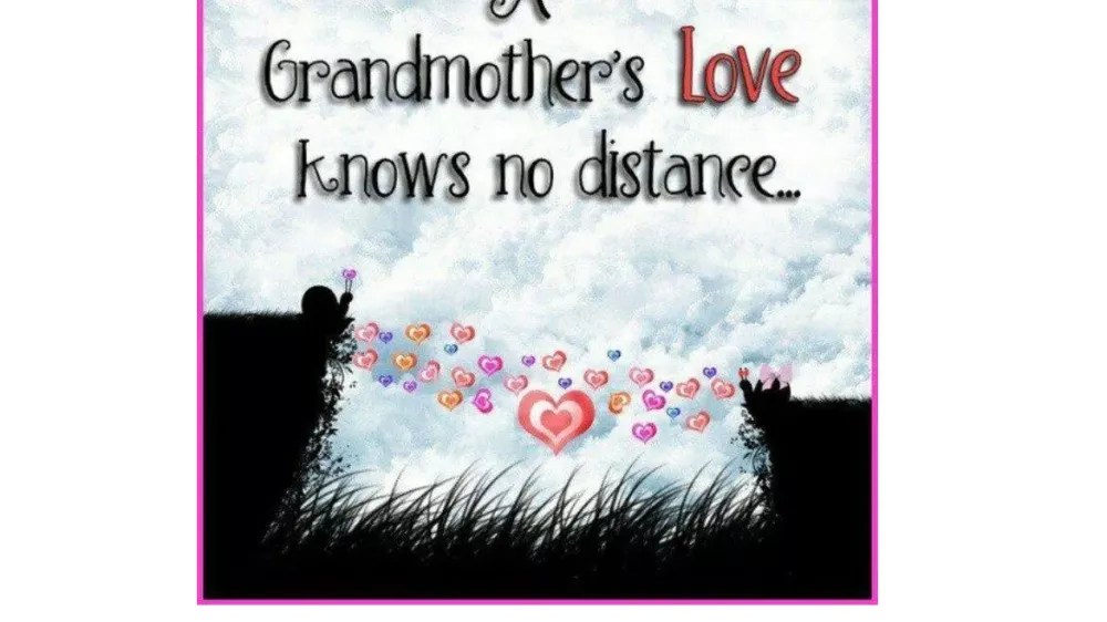 GiveSendGo The Leader in Freedom Fundraising.