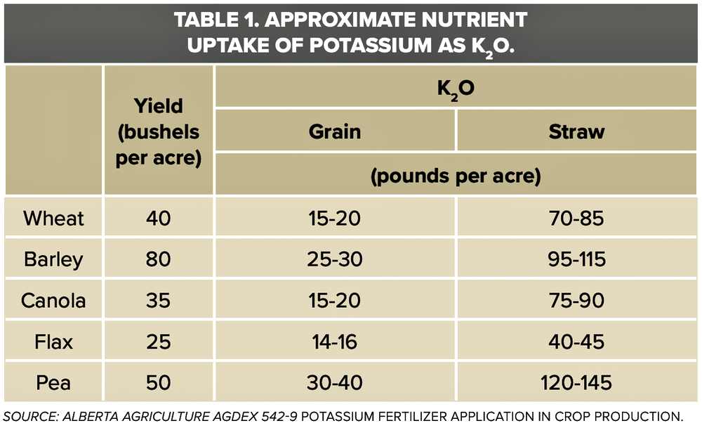 How to develop potassium fertilizer Grainews