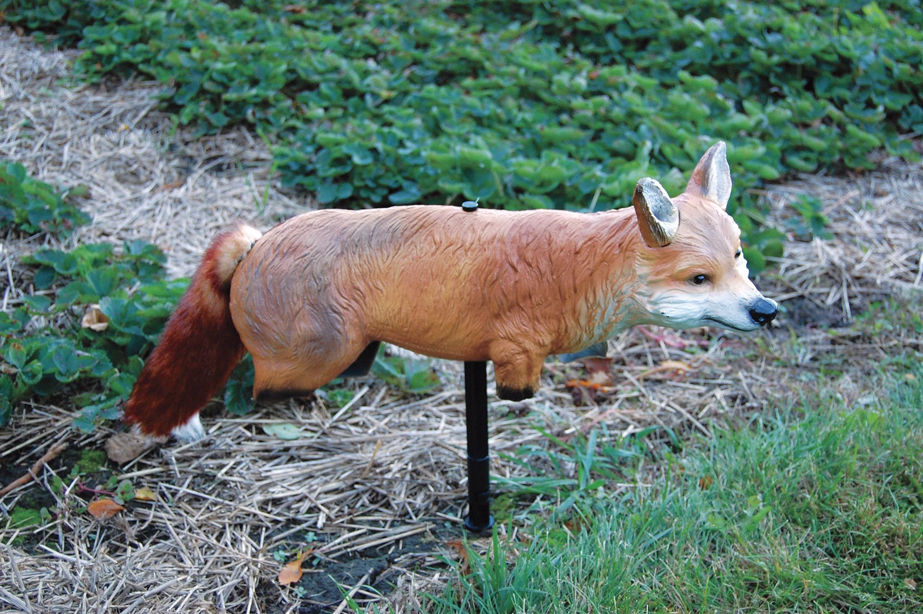 BIRDX Fox, 3D Goose, Duck and Small Animal Control 12V871FOX3D