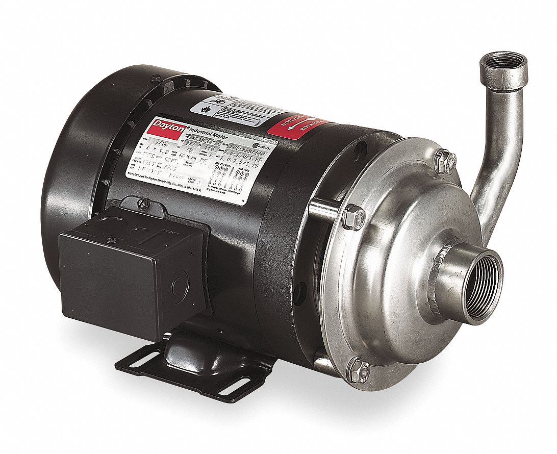 GRAINGER APPROVED Stainless Steel 3/4 HP Centrifugal Pump, 3 Phase, 208