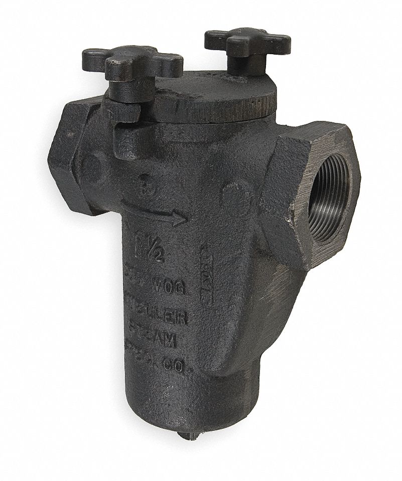 MUELLER STEAM SPECIALTY Basket Strainer, 1/2", FNPT x FNPT, BunaN