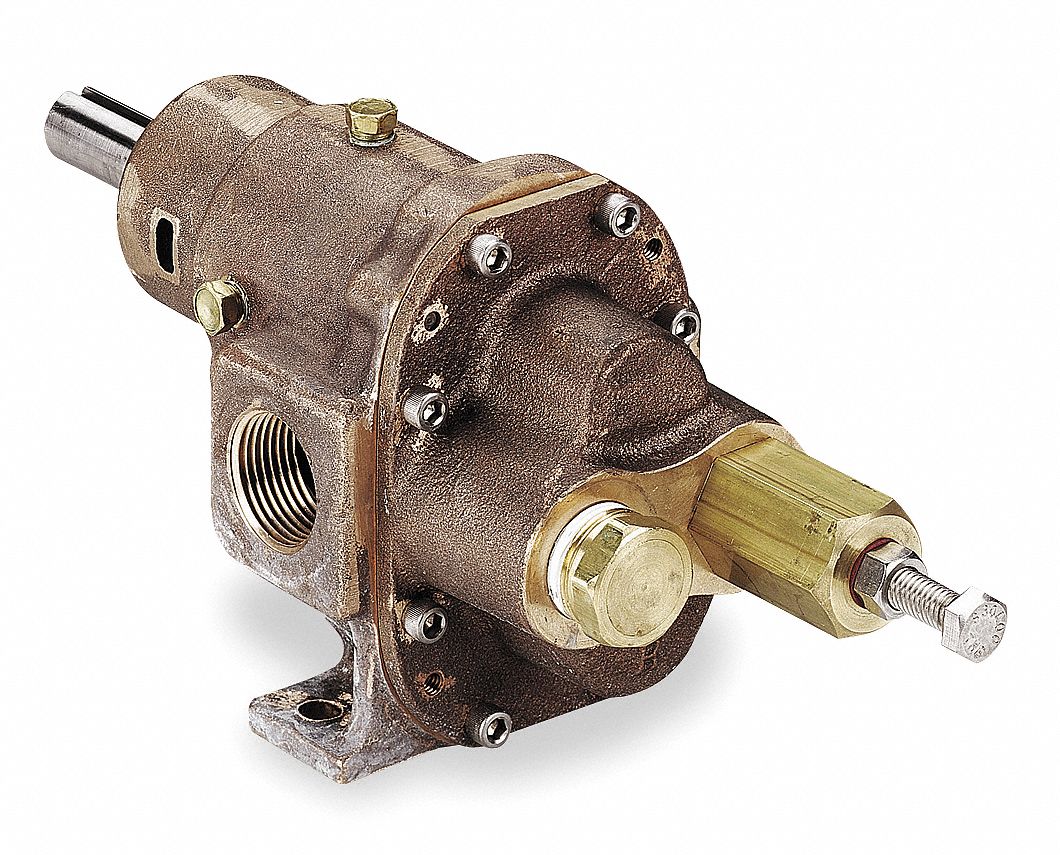 Rotary Gear Pump Grainger