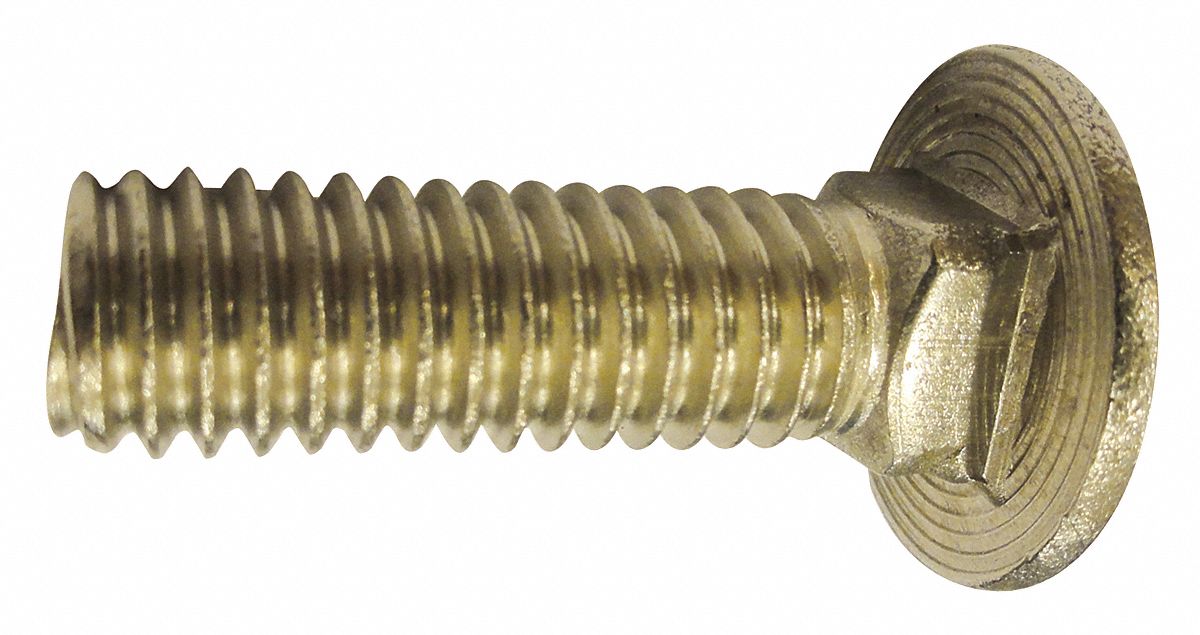 GRAINGER APPROVED 1/4"20 Stainless Steel Carriage Bolt, 188, 11/4"L