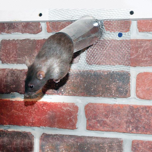 BIRD BARRIER Bat Removal Cone, Animal Control, 6 in. 20YR43N8PC20