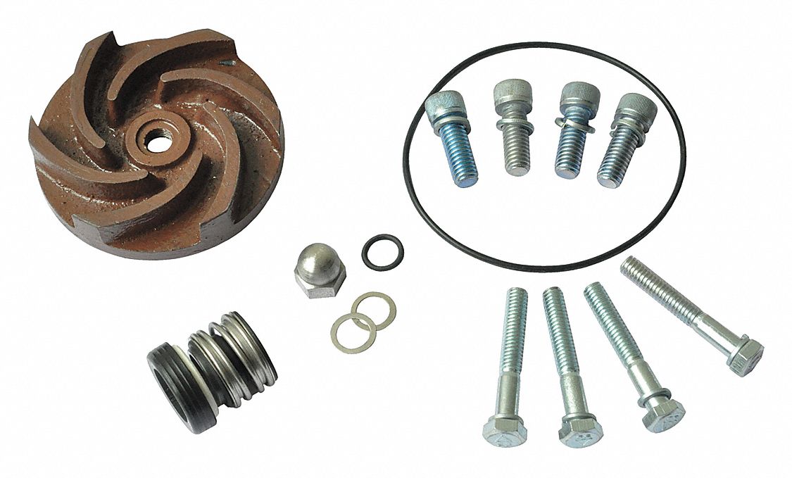 DAYTON Pump Repair Kit Fits Dayton Brand 21TG3721TG37 Grainger