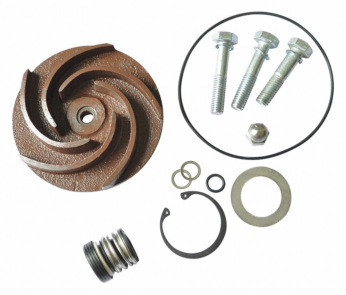DAYTON Pump Repair Kit Fits Dayton Brand 21TG8021TG80 Grainger