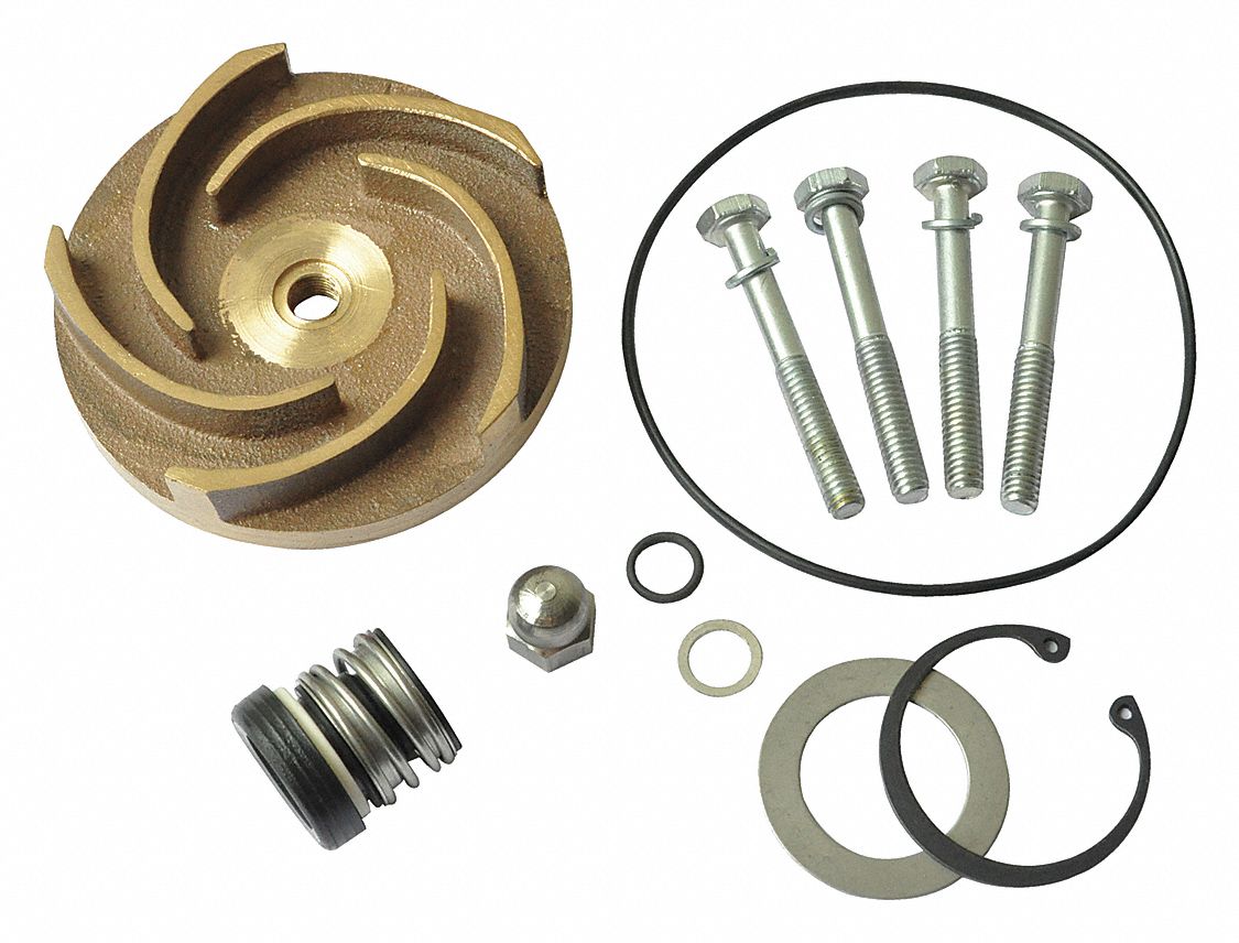 DAYTON Pump Repair Kit Fits Dayton Brand 21TG8621TG86 Grainger
