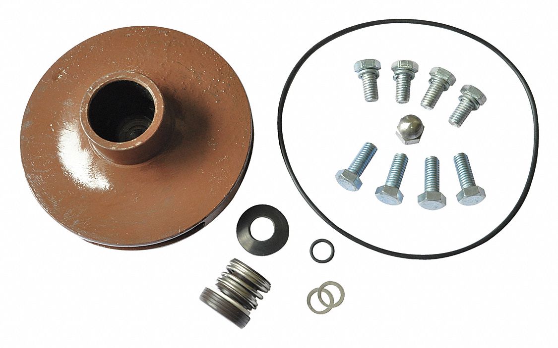 DAYTON Pump Repair Kit, Fits Brand Dayton 21TH0921TH09 Grainger
